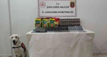 Jandarma köpeği kaçakçılığa geçit vermedi