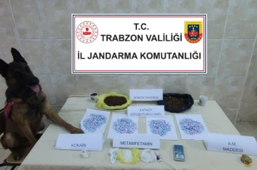 Jandarma Narkotik timlerinin ’Duman’ı göz açtırmıyor
