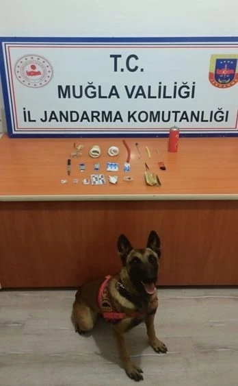 Jandarma’nın detektör köpeği uyuşturucuya geçit vermedi

