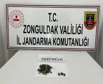 Jandarma şüphelendiği araçta 2 adet salep soğanı ele geçirdi
