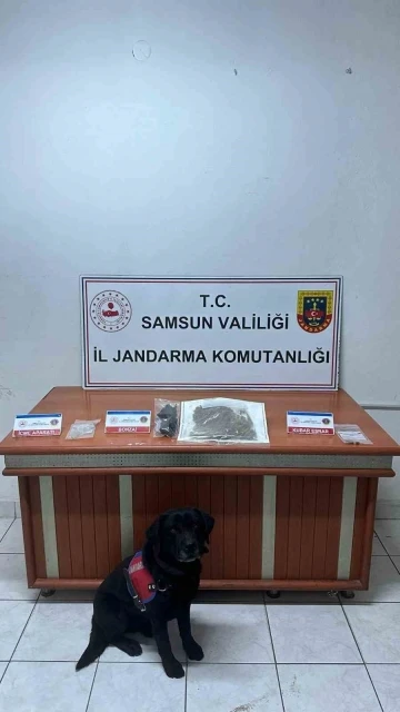 Jandarma tarafından uyuşturucuyla yakalanan şahıs tutuklandı
