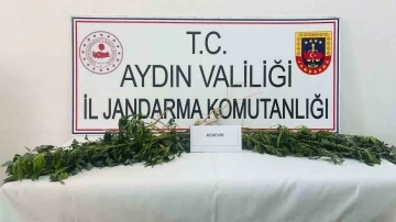 Jandarma uyuşturucuya geçit vermiyor
