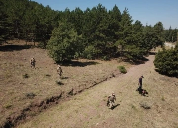 Jandarma yangınlara karşı teyakkuzda
