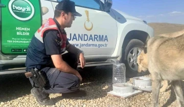 Jandarmadan hayvanlara şamandıra sistemli su ve yem kapları
