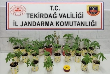 Jandarmadan uyuşturucu operasyonları: 5 gözaltı
