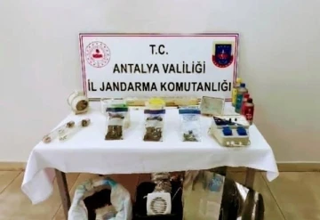 Jandarmadan uyuşturucu operasyonu