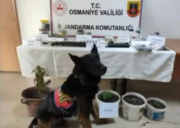 Jandarmadan uyuşturucu operasyonu, 4 şüpheli yakalandı
