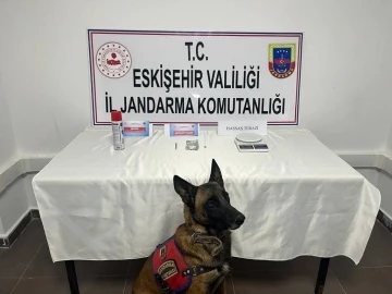 Jandarmadan uyuşturucu operasyonu
