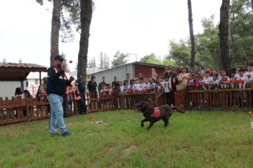 Jandarmanın eğitimli köpeklerinden öğrencilere özel gösteri