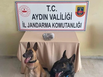 Jandarmanın hassas burunları uyuşturucuya geçit vermedi
