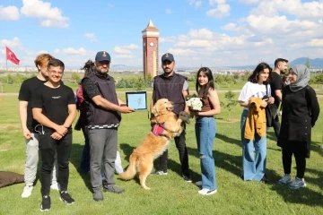 Jandarmanın kahraman köpekleri büyük beğeni topladı
