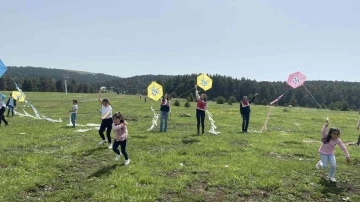 Jandarmanın uçurtma şenliğinden renkli görüntüler
