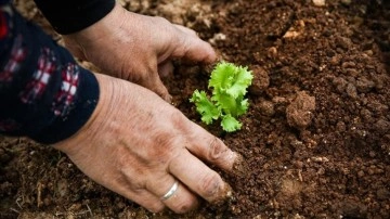 Kadın Girişimciler Zirvede Buluşuyor