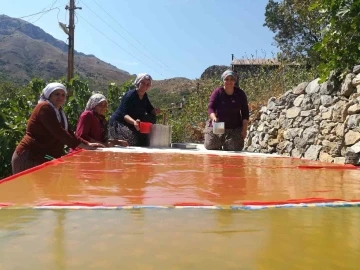 Kadınların zorlu pestil yapımı imece usulü ile eğlenceli hale geliyor
