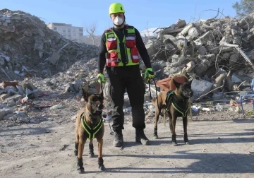 Kahraman köpekler: Asko ve Pia, 5 günde 10 kişiye ulaştı
