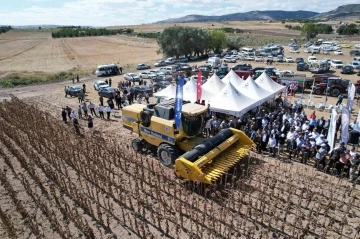 Kahramankazan Ovası’nı sarıya boyayan ayçiçeğinde hasat başladı
