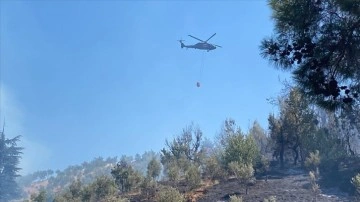 Kahramanmaraş'ta çıkan orman yangınına ekiplerce müdahale ediliyor