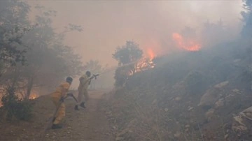 Kahramanmaraş'ta çıkan orman yangınına müdahale ediliyor