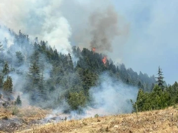 Kahramanmaraş’ta orman yangını (2)