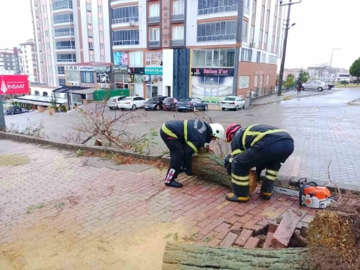 Kahramanmaraş’ta sağanak ve kar yağışı etkili oldu
