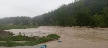 Kahramanmaraş'ta sağanak yağmur sele neden oldu