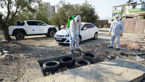 Kahramanmaraş’ta zararlılara karşı kış baskını
