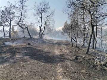 Kahramanmaraş’taki orman yangını büyük ölçüde kontrol altına alındı
