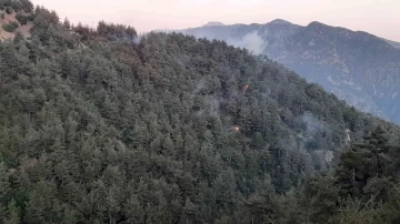 Kahramanmaraş’taki orman yangını kısmen kontrol altına alındı
