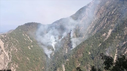 Kahramanmaraş'taki orman yangınına müdahale sürüyor