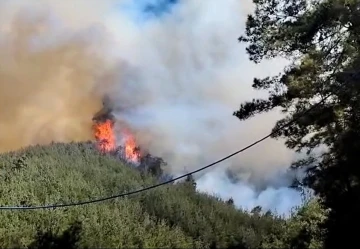 Kahramanmaraş’taki yangında 35 hektar ormanlık alan zarar gördü
