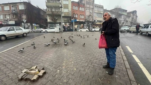 Kahramanmaraşlı esnaf depremde hasar alan cami önündeki güvercinleri her gün yemliyor
