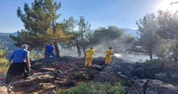 Kahramanmaraş’ta 6 noktada çıkan yangın söndürüldü, ormanları yakan şüpheli yakalandı