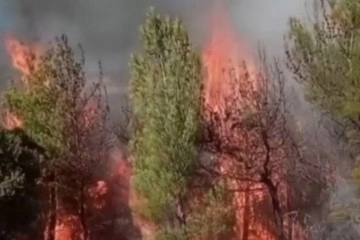 Kahramanmaraş’ta ikinci orman yangını