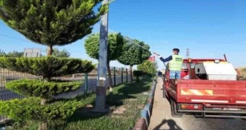 Kahta Belediye ilaçlama çalışmalarını yoğunlaştırdı