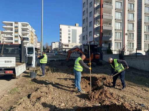 Kahta Belediyesi, ağaçlandırma çalışmalarına hızla devam ediyor