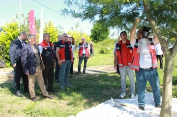 Kahverengi kokarca ile mücadele: Fındık bahçeleri kışlak öncesi ilaçlandı
