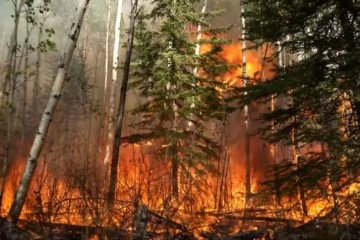 Kanada’da orman yangını: 21 bin kişiye tahliye uyarısı