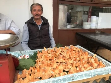 Kanlıca mantarı kilosu 100 TL’den pazardaki yerini aldı
