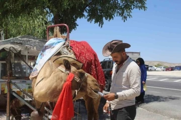 Kapadokya’da sıcaktan bunalan develer dondurma ile serinliyor
