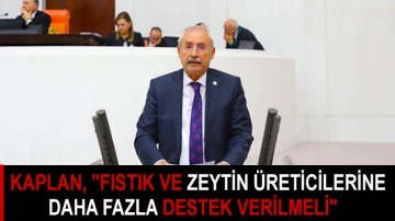 Kaplan, &quot;fıstık ve zeytin üreticilerine daha fazla destek verilmeli&quot;