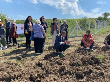 Karabük’e iki çeşit aromatik bitki daha kazandırıldı
