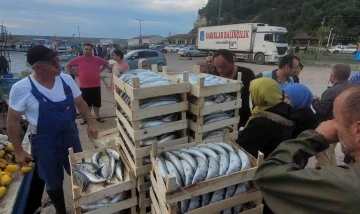 Karadeniz’de balıkçılar kasa kasa palamutla döndü: Vatandaşlara ücretsiz dağıtıldı
