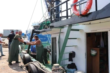 Karadeniz’de tekneler kasa kasa balıkla döndü
