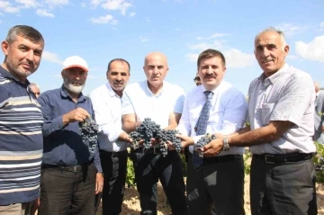Karaman’da coğrafi işaretli kara elmasın hasadı başladı
