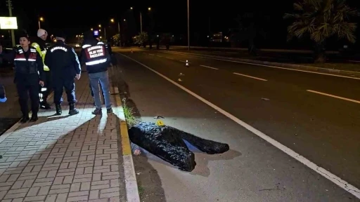 Kardeşini kazadan korumak isteyen ağabey, otomobilin çarpmasıyla hayatını kaybetti
