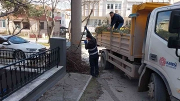 Karesi Belediyesi’nden ağaçlara kış bakımı
