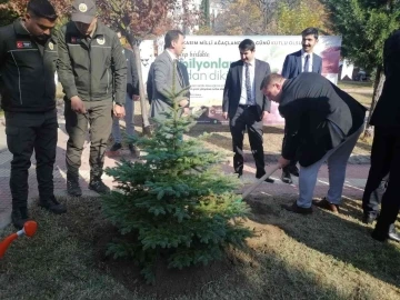 Kargı’da bin fidan toprakla buluştu
