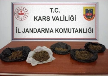 Kars’ta 700 gram bonzai ele geçirildi
