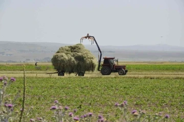 Kars’ta çiftçilerin ot biçme mesaisi başladı
