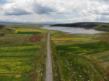 Kars’ta rengarenk açan çiçekler kartpostallık görüntüler oluşturdu
